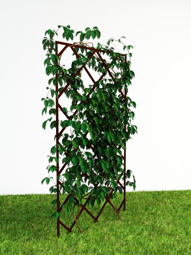 3d render https://p.turbosquid.com/ts-thumb/Wr/1CqzXo/L71rckgn/pergola_4_2/jpg/1316633130/1920x1080/fit_q87/633fa40c4e0febc85015fbffb50b47e10a96c563/pergola_4_2.jpg