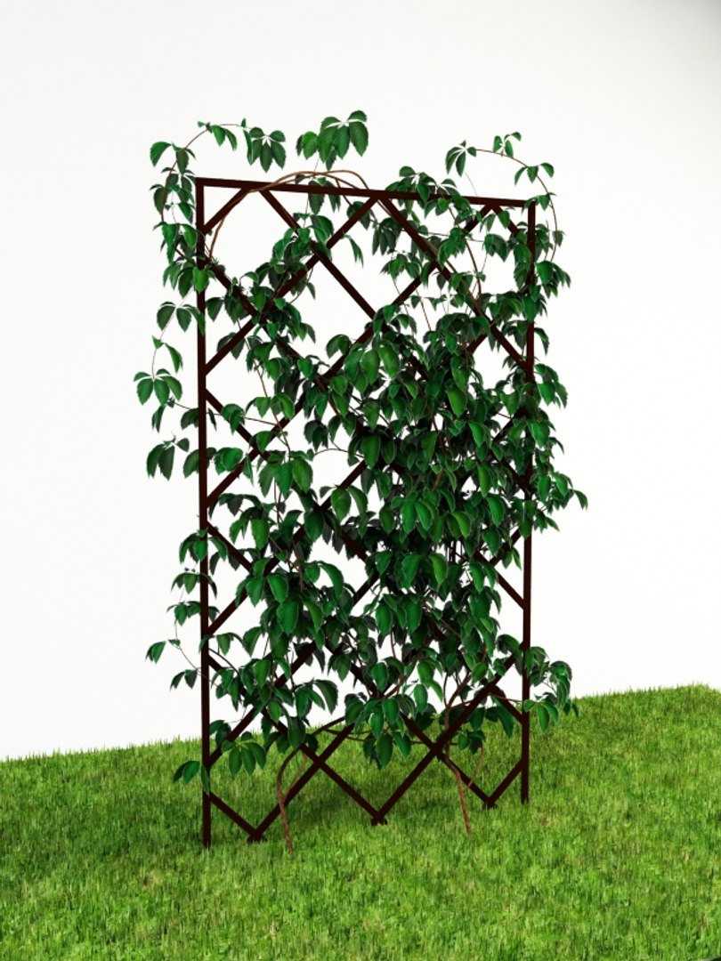 3d render https://p.turbosquid.com/ts-thumb/Wr/1CqzXo/daGMT98n/pergola_4_1/jpg/1316633130/1920x1080/fit_q87/8573a202ab3c54e772aeef74c5dfcd76f3c8bb9f/pergola_4_1.jpg