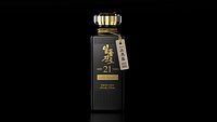 Ilpoom JINRO 21 Year premium Soju bottle