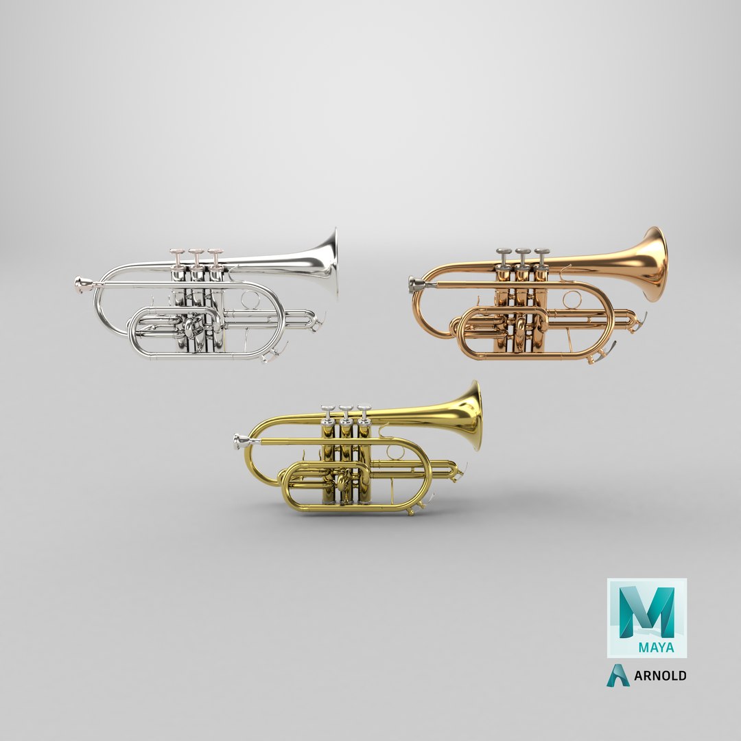 Cornet  Three Types of Materials  Brass Copper and Silver 3D https://p.turbosquid.com/ts-thumb/Wr/7OLmRP/nx/stemcell_maya_arnold_render/png/1721418656/1920x1080/fit_q87/0910819fa6383cfb370af5bc69901be7181f78c4/stemcell_maya_arnold_render.jpg