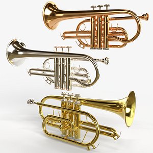Cornet  Three Types of Materials  Brass Copper and Silver 3D