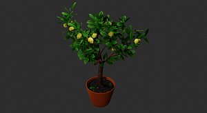 3D Lemon Tree