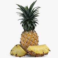 Pineapple Fruit 2