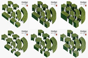 hedge 3D