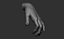 3D Female hand poses model