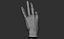 3D Female hand poses model