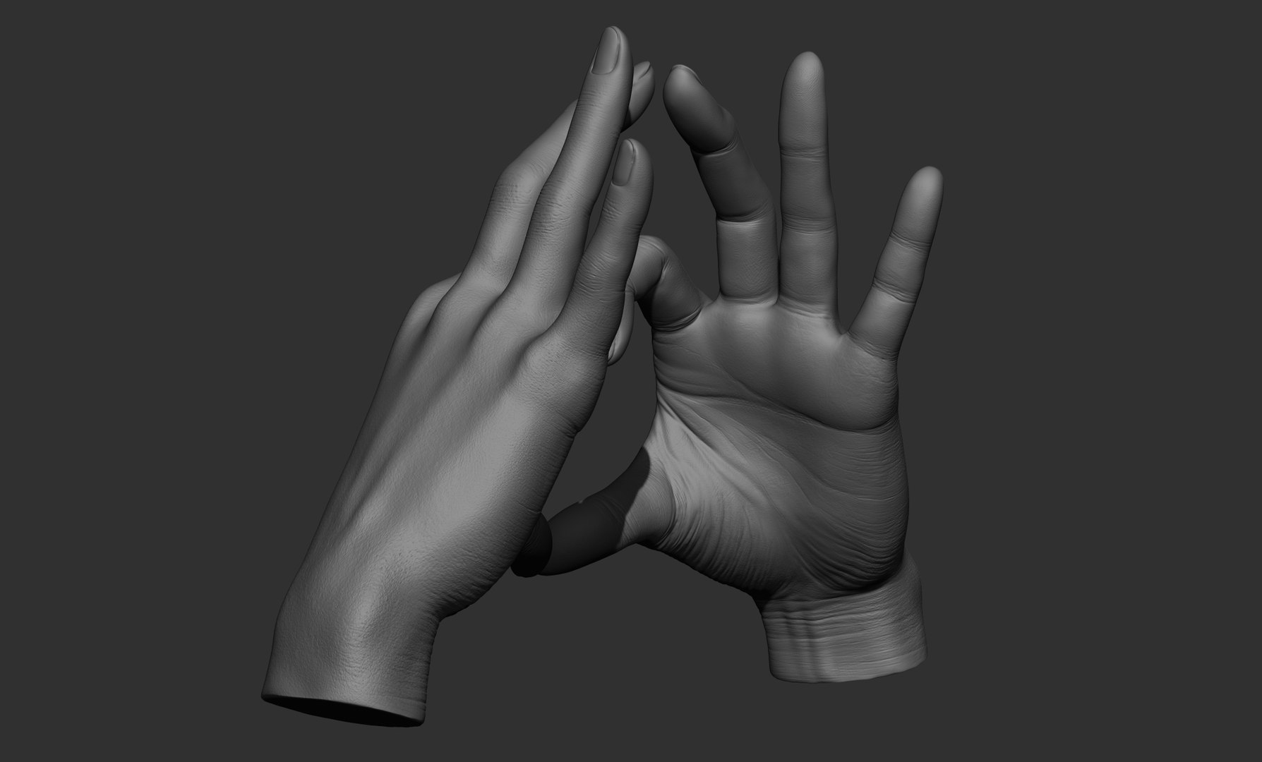 3D Female hand poses model https://p.turbosquid.com/ts-thumb/Wr/O7NyE9/5k/11/jpg/1650406334/1920x1080/fit_q87/1110e4b4c1e41ec9e4dbaa63212508ecfe46e79d/11.jpg