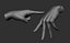 3D Female hand poses model
