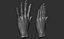 3D Female hand poses model
