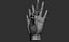 3D Female hand poses model