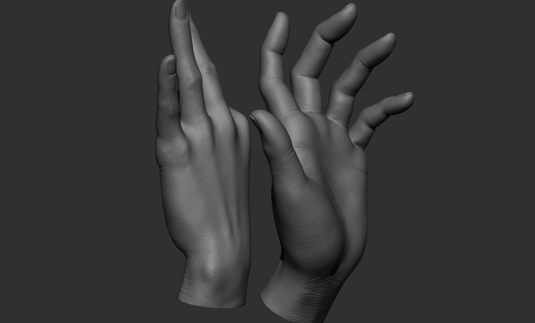 3D Female hand poses model https://p.turbosquid.com/ts-thumb/Wr/O7NyE9/Rc/70/jpg/1650406345/1920x1080/fit_q87/a52c2ecafb3232435c06b83bfa88b934c3ec70d6/70.jpg