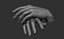 3D Female hand poses model