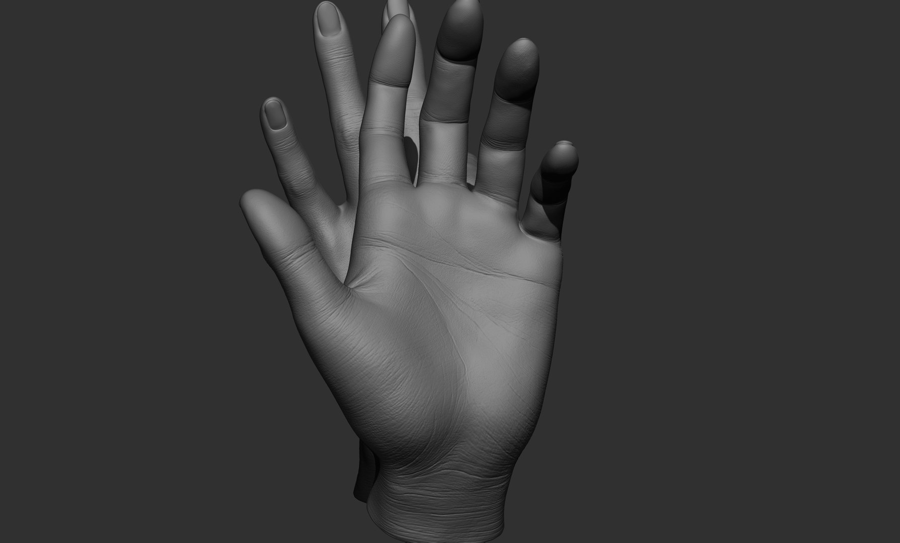 3D Female hand poses model https://p.turbosquid.com/ts-thumb/Wr/O7NyE9/VT/71/jpg/1650406346/1920x1080/fit_q87/2402003078407bf657bef57d829a6882960313cd/71.jpg