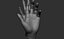 3D Female hand poses model