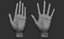 3D Female hand poses model