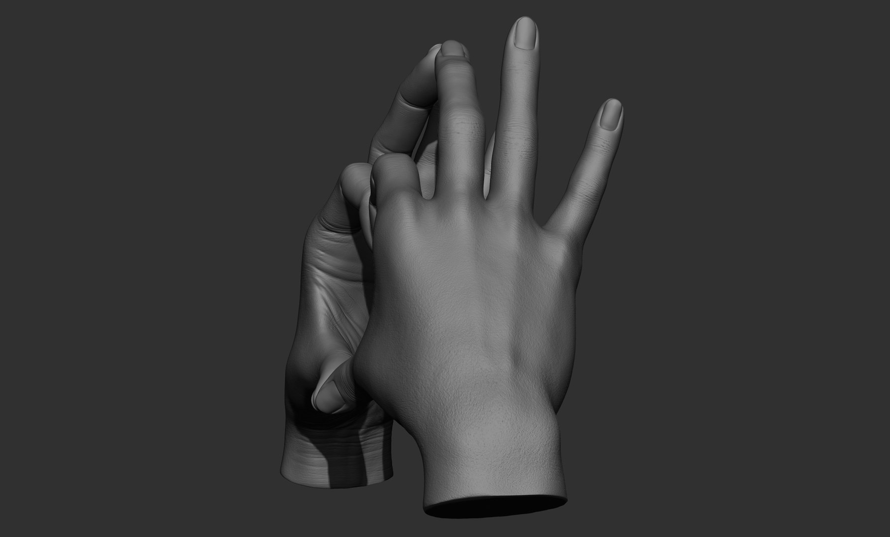 3D Female hand poses model https://p.turbosquid.com/ts-thumb/Wr/O7NyE9/Zj/10/jpg/1650406319/1920x1080/fit_q87/478973b11234a4c0aa14653abc1391d0753393b2/10.jpg