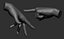 3D Female hand poses model