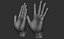 3D Female hand poses model