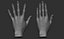 3D Female hand poses model