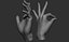 3D Female hand poses model