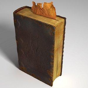 rotten book 3d obj