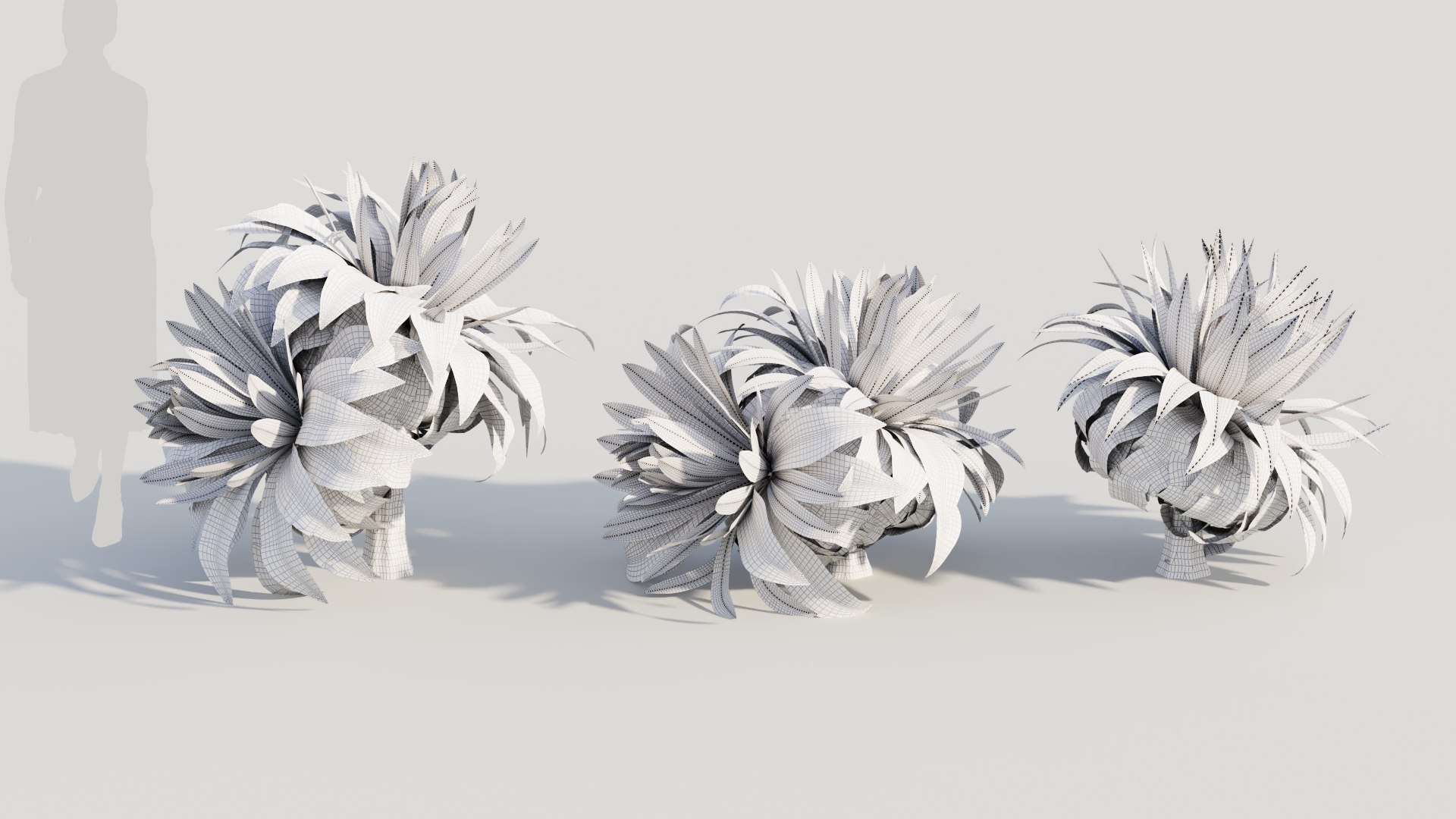 3D Asplenium Nidus A - TurboSquid 2178222