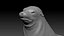 Seal Rigged 3D