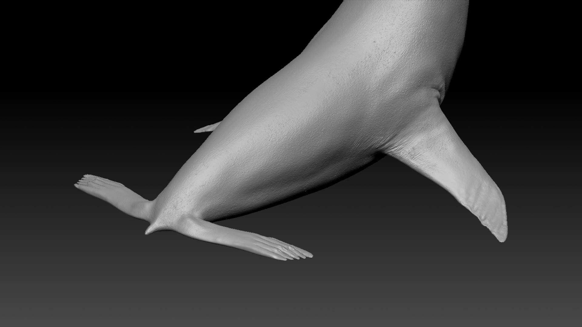 Seal Rigged 3D 3D https://p.turbosquid.com/ts-thumb/Wr/XjQMaV/Cg/43/jpg/1751370265/1920x1080/fit_q87/1007e2faa470499efbcad5264f3f9f42ad902ef0/43.jpg