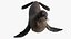 Seal Rigged 3D