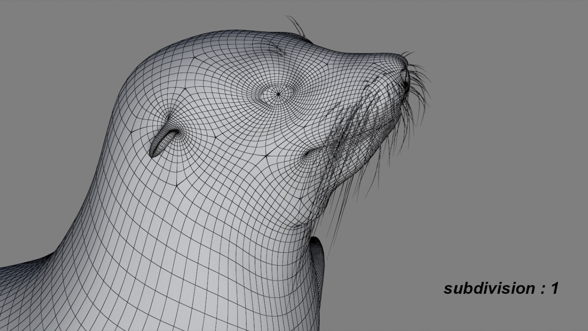Seal Rigged 3D 3D https://p.turbosquid.com/ts-thumb/Wr/XjQMaV/dn/24/jpg/1751370260/1920x1080/fit_q87/fab3c9ce1f9760de569ff9e8bde5b8ff54bf27ec/24.jpg