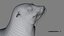 Seal Rigged 3D