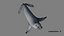 Seal Rigged 3D
