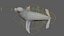 Seal Rigged 3D