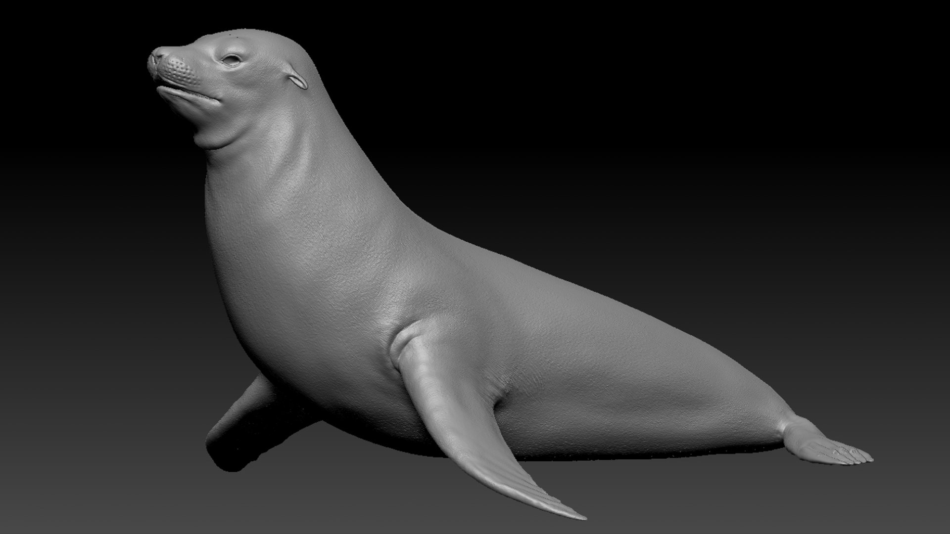Seal Rigged 3D 3D https://p.turbosquid.com/ts-thumb/Wr/XjQMaV/mi/41/jpg/1751370264/1920x1080/fit_q87/daee1fc075a64ab7757d5c5cc0ee9fba54d47f19/41.jpg