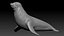 Seal Rigged 3D