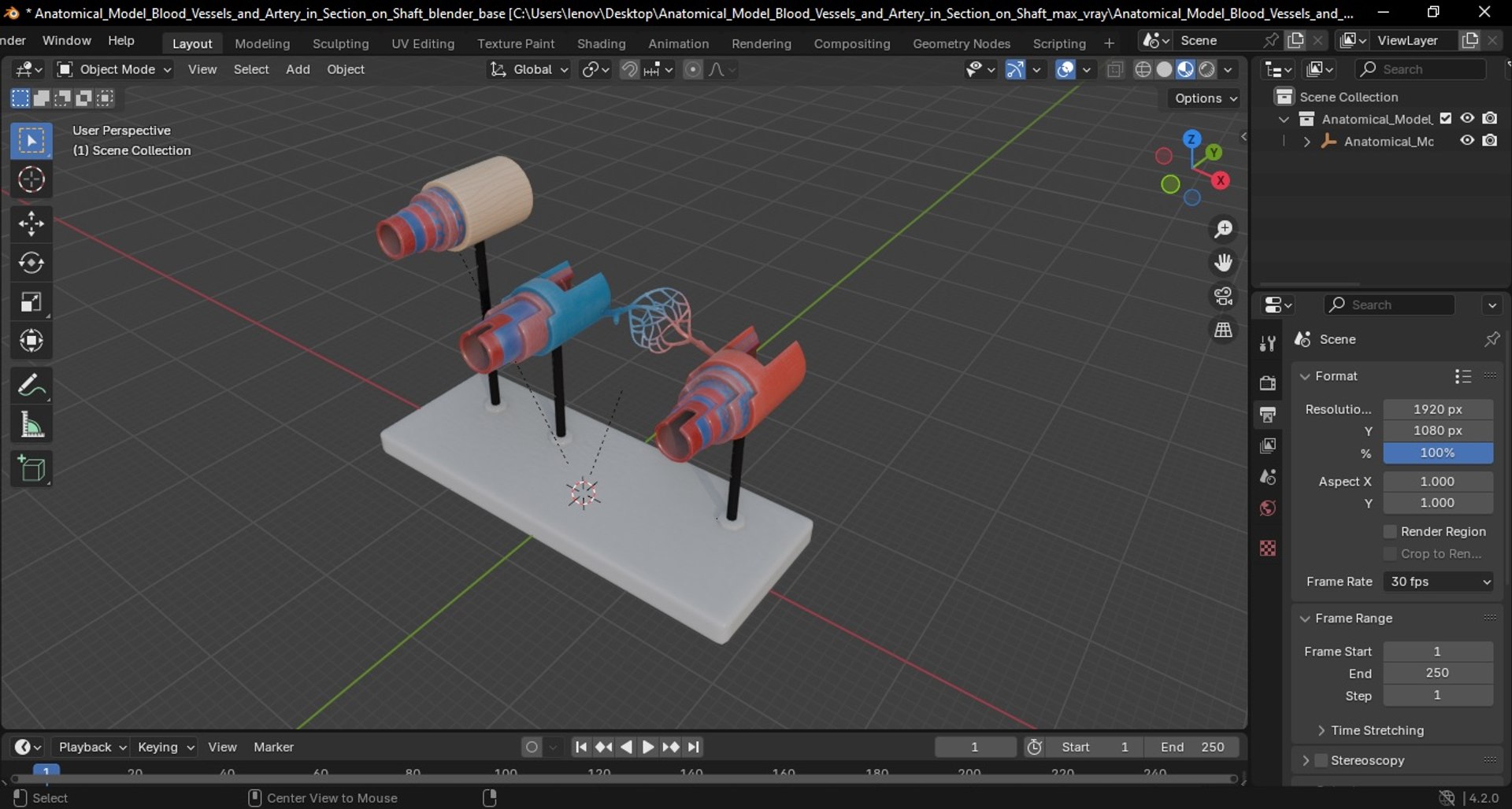 3D model Anatomical Model Blood Vessels and Artery in Section on Shaft https://p.turbosquid.com/ts-thumb/Wr/jnoym0/RE/anatomical_model_blood_vessels_and_artery_in_section_on_shaft_1010/jpg/1744056209/1920x1080/fit_q87/d63940c63b9094564912ff1fa9ef0468bed4087d/anatomical_model_blood_vessels_and_artery_in_section_on_shaft_1010.jpg