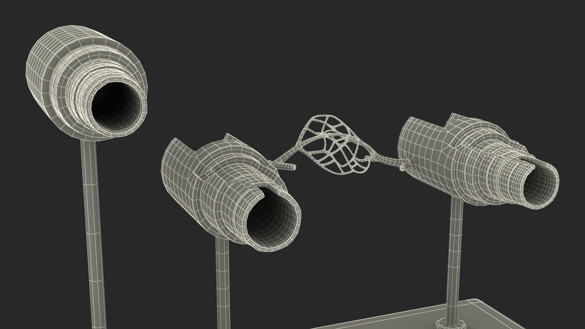 3D model Anatomical Model Blood Vessels and Artery in Section on Shaft https://p.turbosquid.com/ts-thumb/Wr/jnoym0/iZ/anatomical_model_blood_vessels_and_artery_in_section_on_shaft_016/jpg/1744056190/1920x1080/fit_q87/dd912d7bf36424234b4529d1b6d5feb6a3862c8a/anatomical_model_blood_vessels_and_artery_in_section_on_shaft_016.jpg