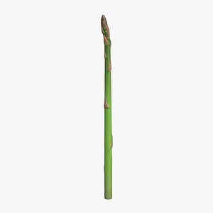 Asparagus Low Poly