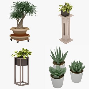 set plant model