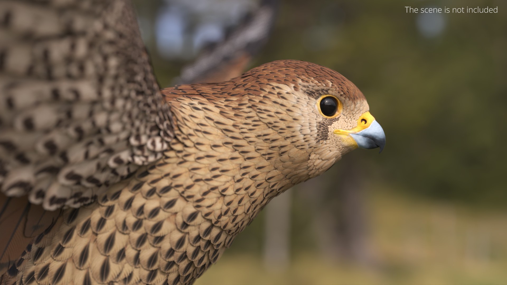 3D model Falcon Bird Attack Pose Brown https://p.turbosquid.com/ts-thumb/Wr/pQHuI0/DU/falcon_bird_attack_pose_brown_004/jpg/1767060095/1920x1080/fit_q87/3be2090f2d474f1f17f6bab758574a972cabf924/falcon_bird_attack_pose_brown_004.jpg