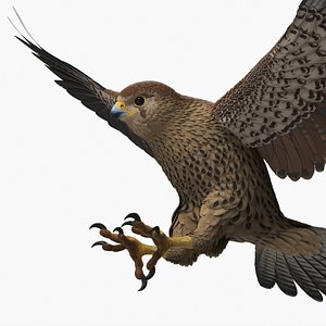 3D model Falcon Bird Attack Pose Brown