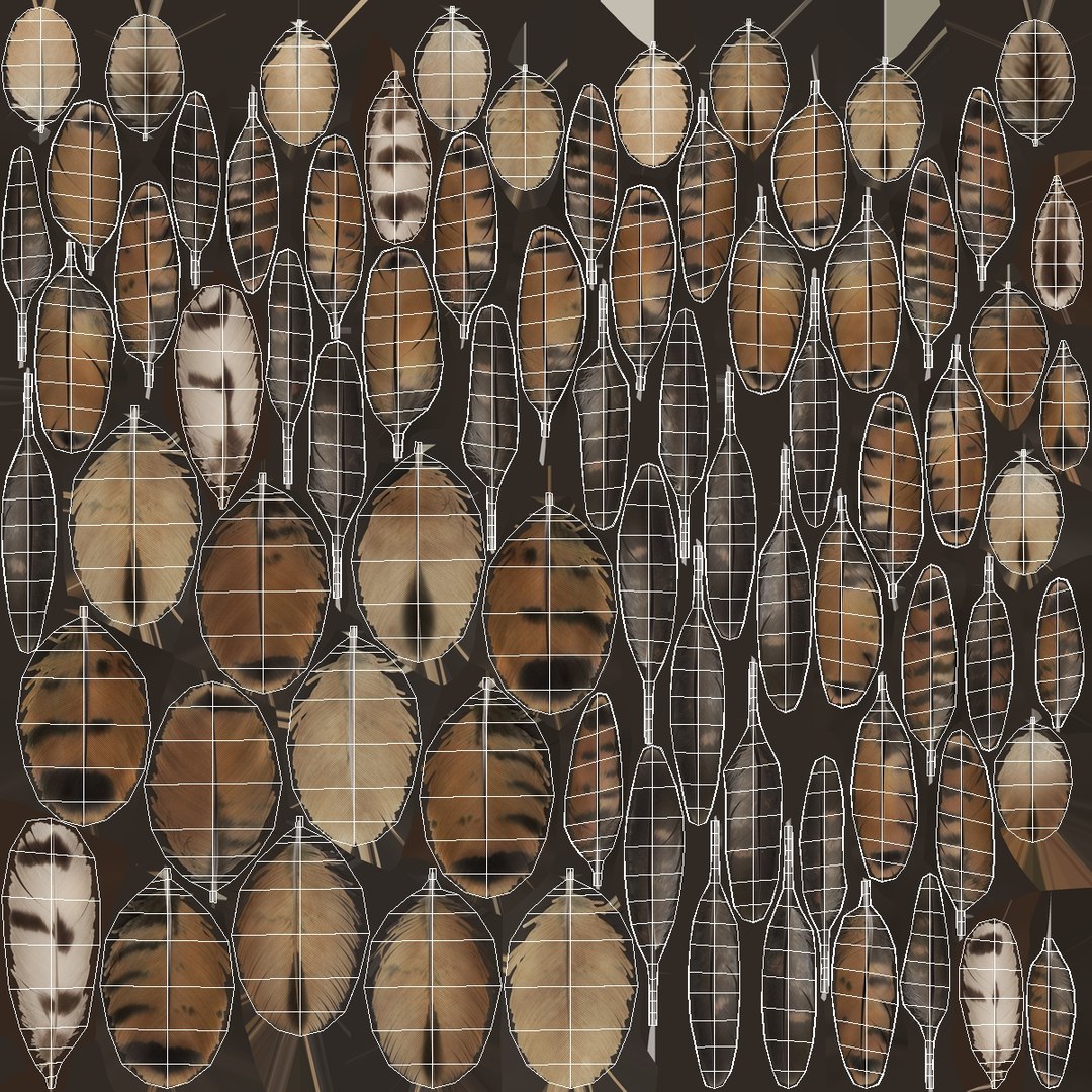 3D model Falcon Bird Attack Pose Brown https://p.turbosquid.com/ts-thumb/Wr/pQHuI0/d5/falcon_bird_attack_pose_brown_013/jpg/1767060122/1920x1080/fit_q87/b7239fd78a610b96799fd2a90fddb6e8b9b41e82/falcon_bird_attack_pose_brown_013.jpg