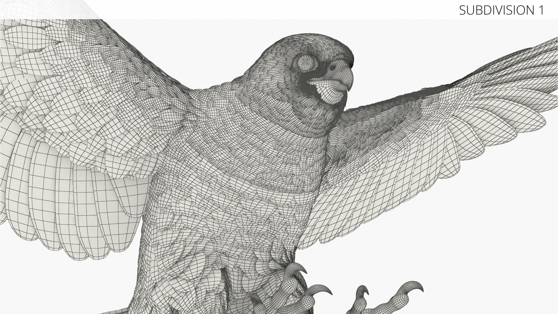 3D model Falcon Bird Attack Pose Brown https://p.turbosquid.com/ts-thumb/Wr/pQHuI0/iV/falcon_bird_attack_pose_brown_011/jpg/1767060116/1920x1080/fit_q87/5cc922c354010e55113b331d4fc52b65f25fdc3c/falcon_bird_attack_pose_brown_011.jpg