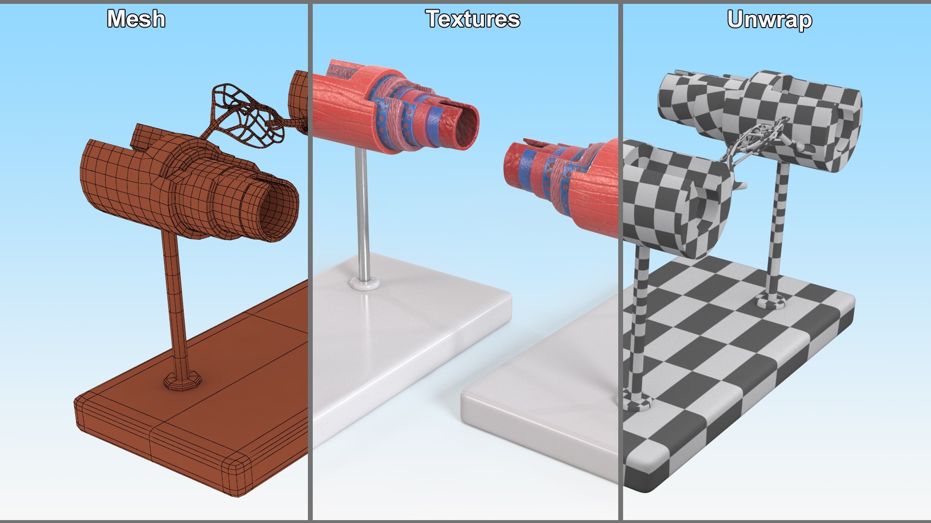 Anatomical Model Blood Vessels in Section on Shaft 3D https://p.turbosquid.com/ts-thumb/Wr/qTm4l5/78/anatomical_model_blood_vessels_in_section_on_shaft_010/jpg/1744320676/1920x1080/fit_q87/12eb8a20731c73f8542ebb04eaa7fe232774c182/anatomical_model_blood_vessels_in_section_on_shaft_010.jpg