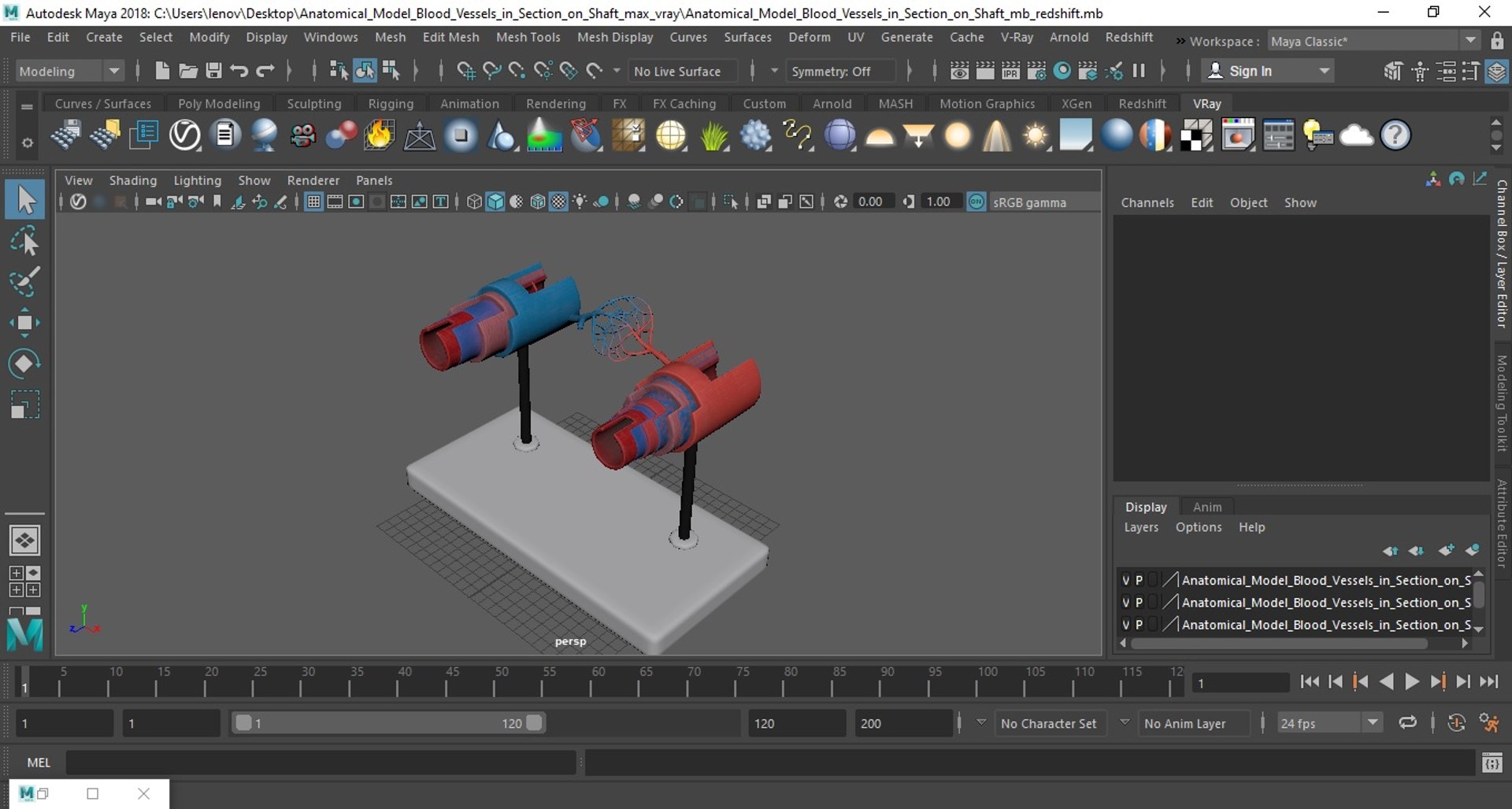 Anatomical Model Blood Vessels in Section on Shaft 3D https://p.turbosquid.com/ts-thumb/Wr/qTm4l5/8P/anatomical_model_blood_vessels_in_section_on_shaft_1012/jpg/1744320728/1920x1080/fit_q87/cffdc313c2f84133a97923409c8508ac8dd39656/anatomical_model_blood_vessels_in_section_on_shaft_1012.jpg
