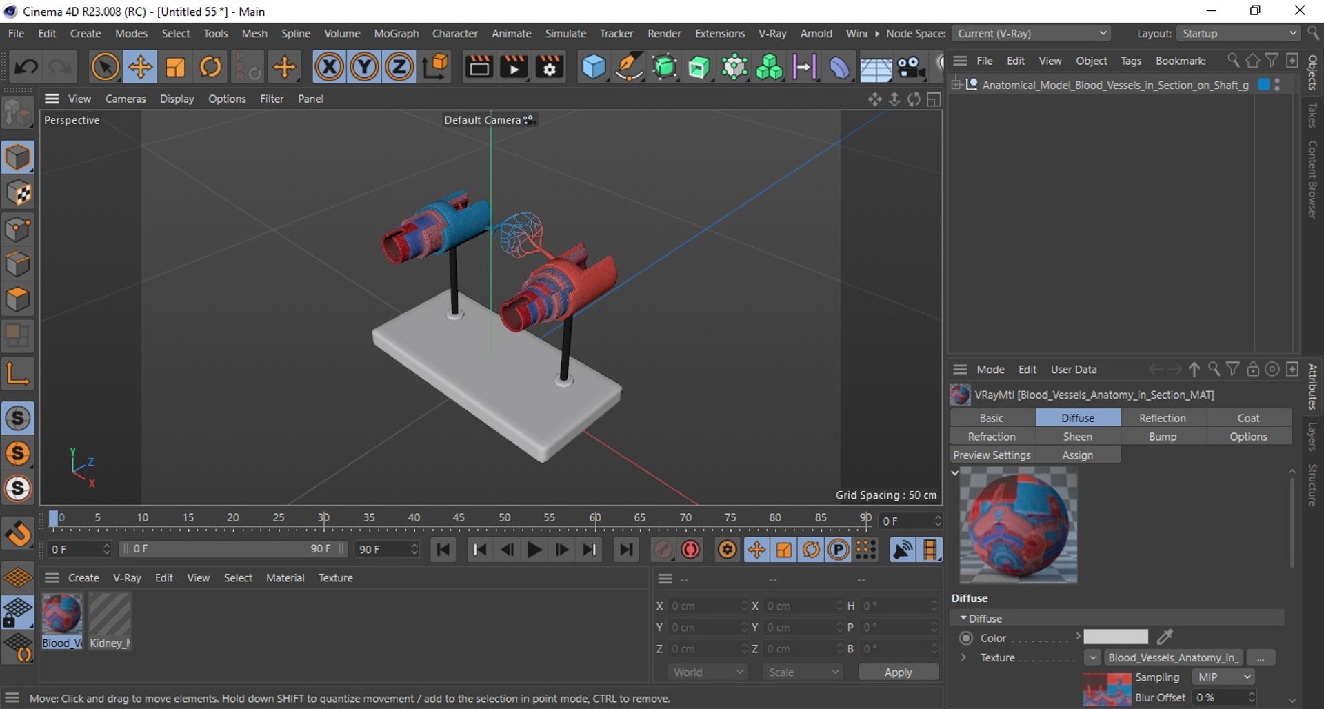Anatomical Model Blood Vessels in Section on Shaft 3D https://p.turbosquid.com/ts-thumb/Wr/qTm4l5/tJ/anatomical_model_blood_vessels_in_section_on_shaft_1011/jpg/1744320724/1920x1080/fit_q87/ca18532c3f5855563caa6e0583cc1be904b4ccdd/anatomical_model_blood_vessels_in_section_on_shaft_1011.jpg