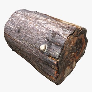 wet tree trunk stump 3D model