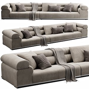3D Minotti Coupe