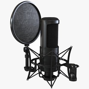 3D Microphone 3