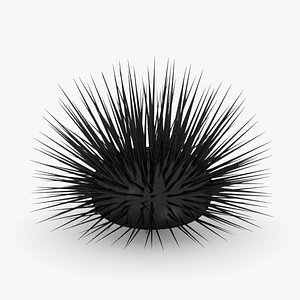 maya sea urchin